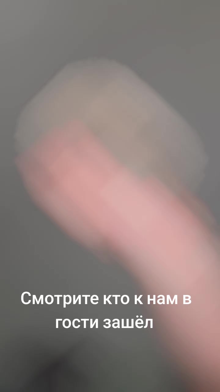 @Lencik737 Лена