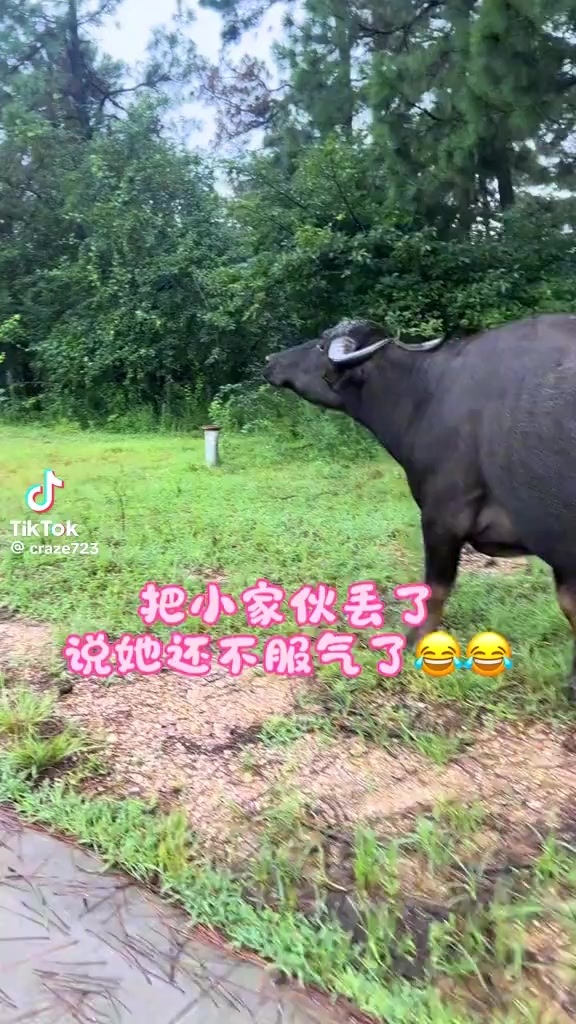 @🍷 蕊宝❣️老酥🥵不接私教🙈