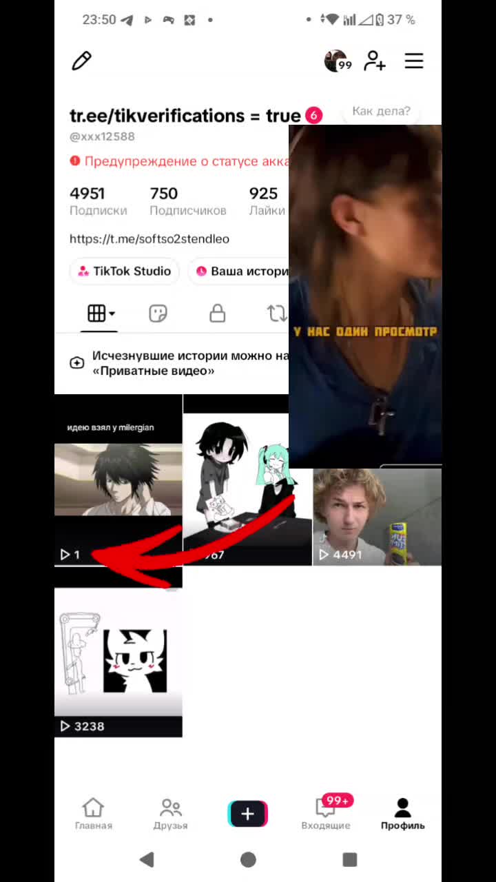 @tr.ee/tikverifications = true