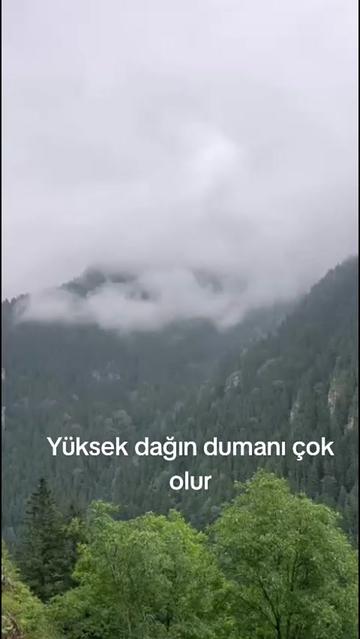 @🌼ümmü🌼