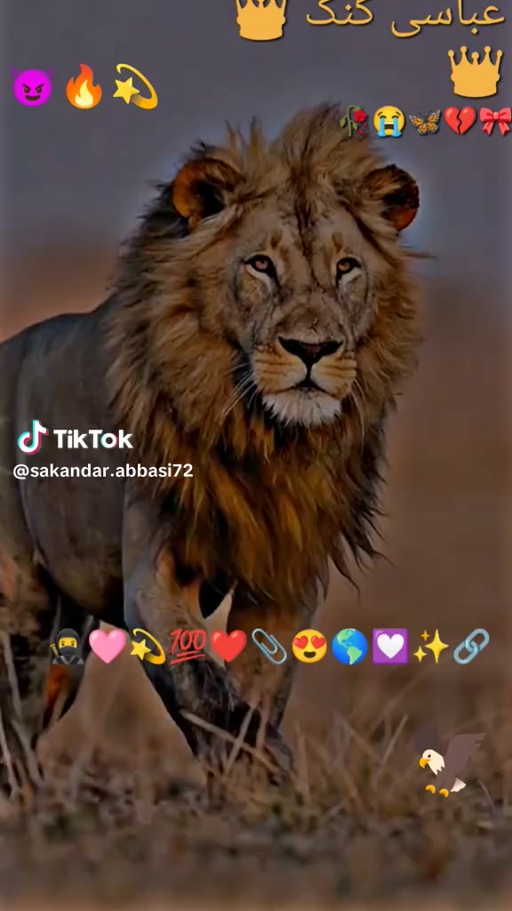 @Yasmeen hujra 👑🥰