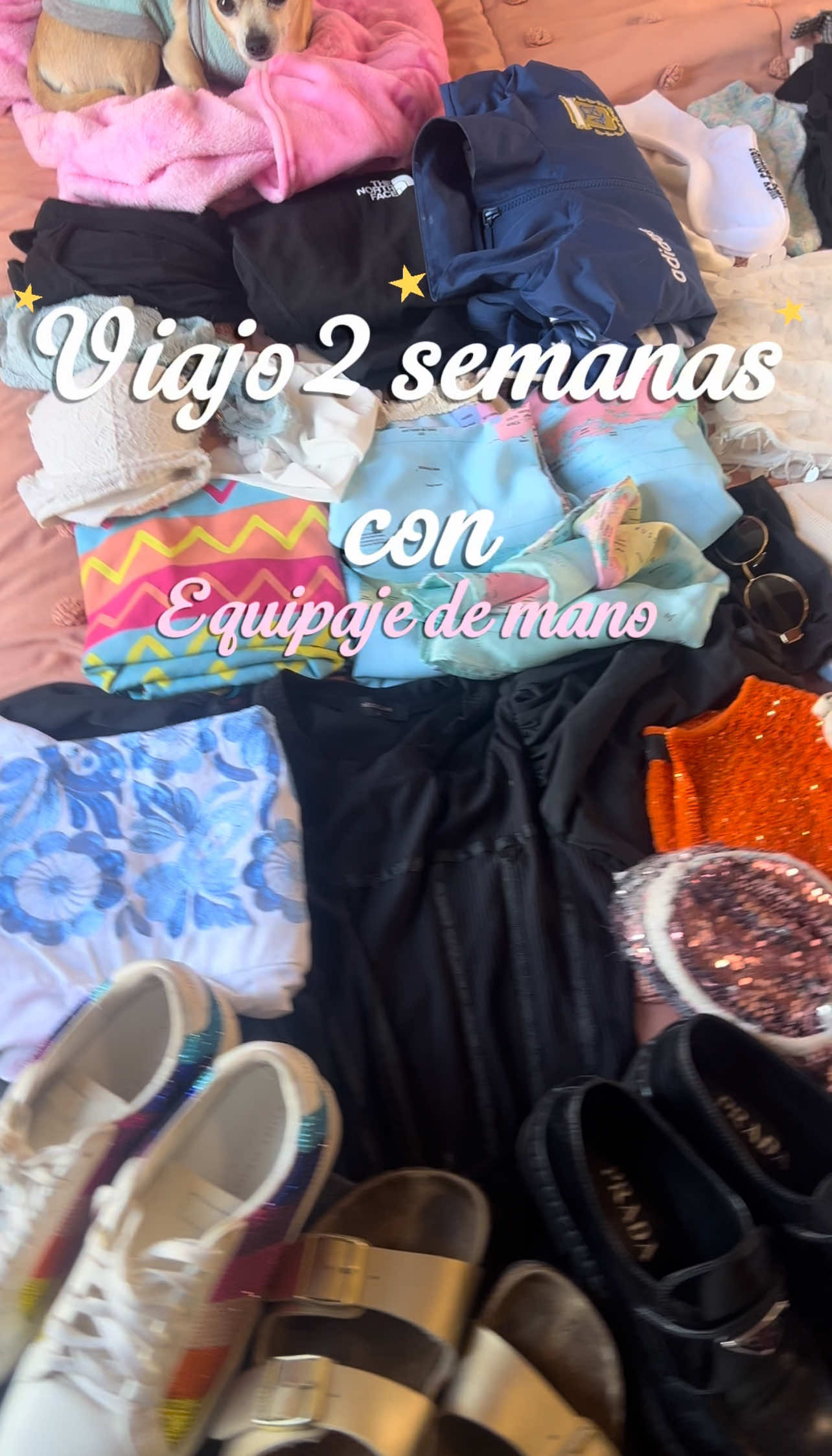 @Pamela Ortega 🌟