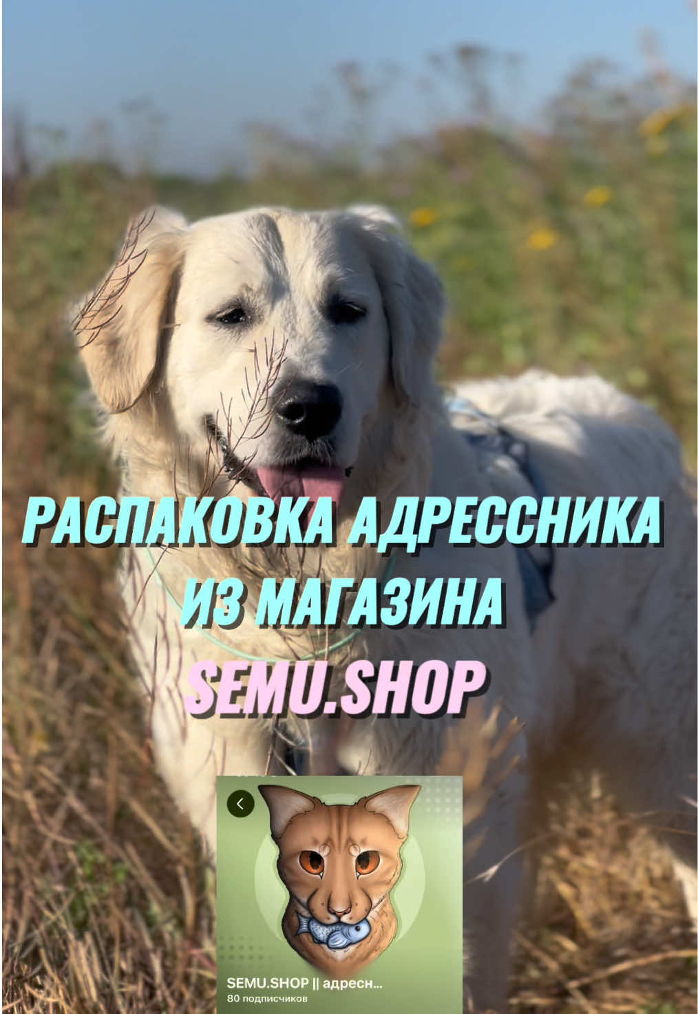 @𐔤ɯᥲᥴⲧыύ ⲙᥲρ᥈υ🥏