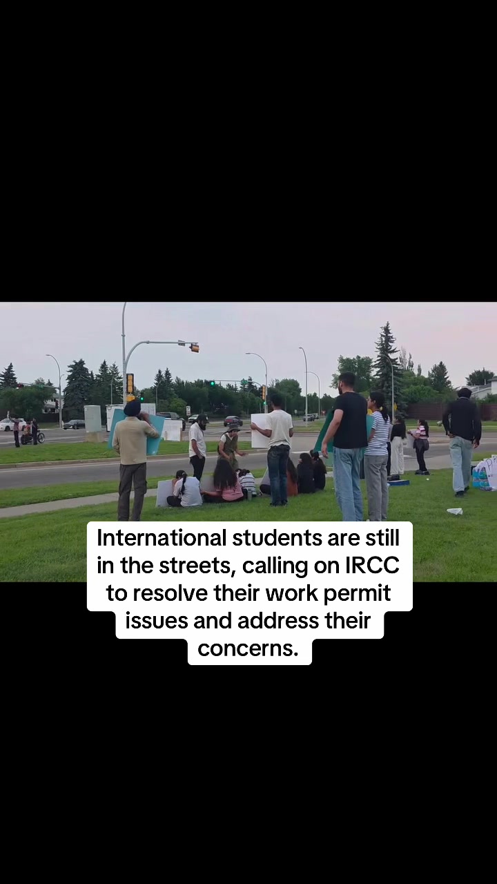 @Pulse Canada