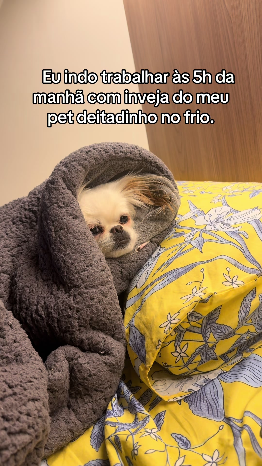 @Kaick Oliveira