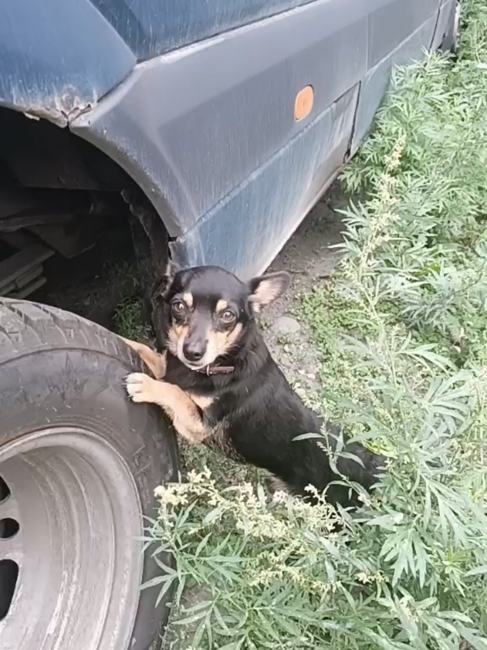 @Маруся5945