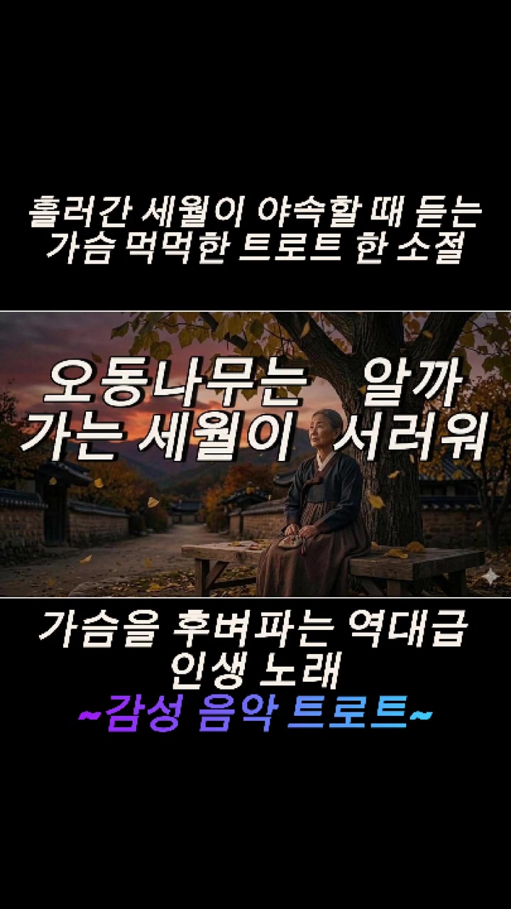 @감성 음악 트로트