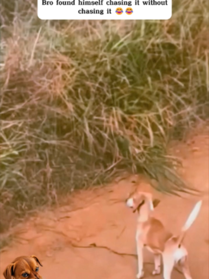@streamscoop05 | Viral Reels