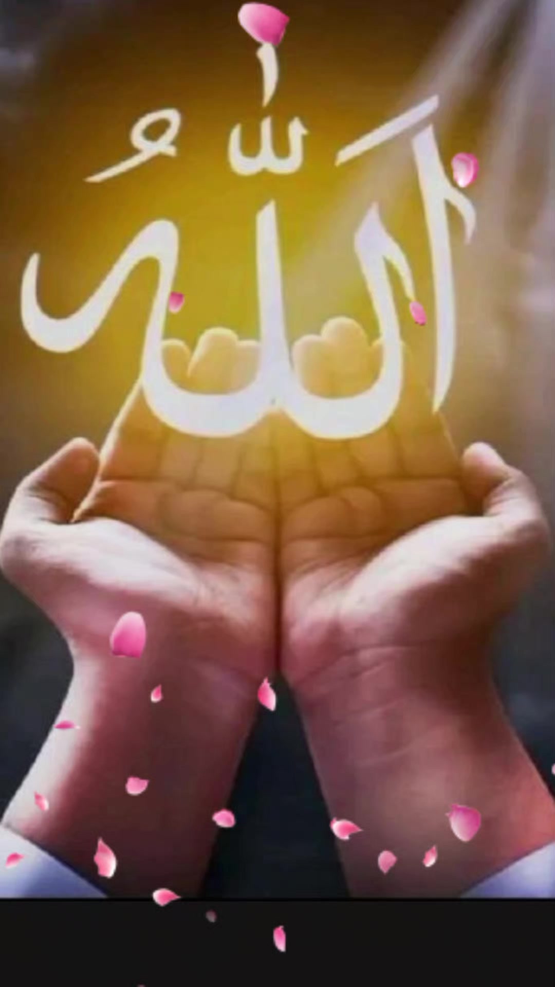 @NAZMA🤲নবীর প্রেমের পাগল আমি