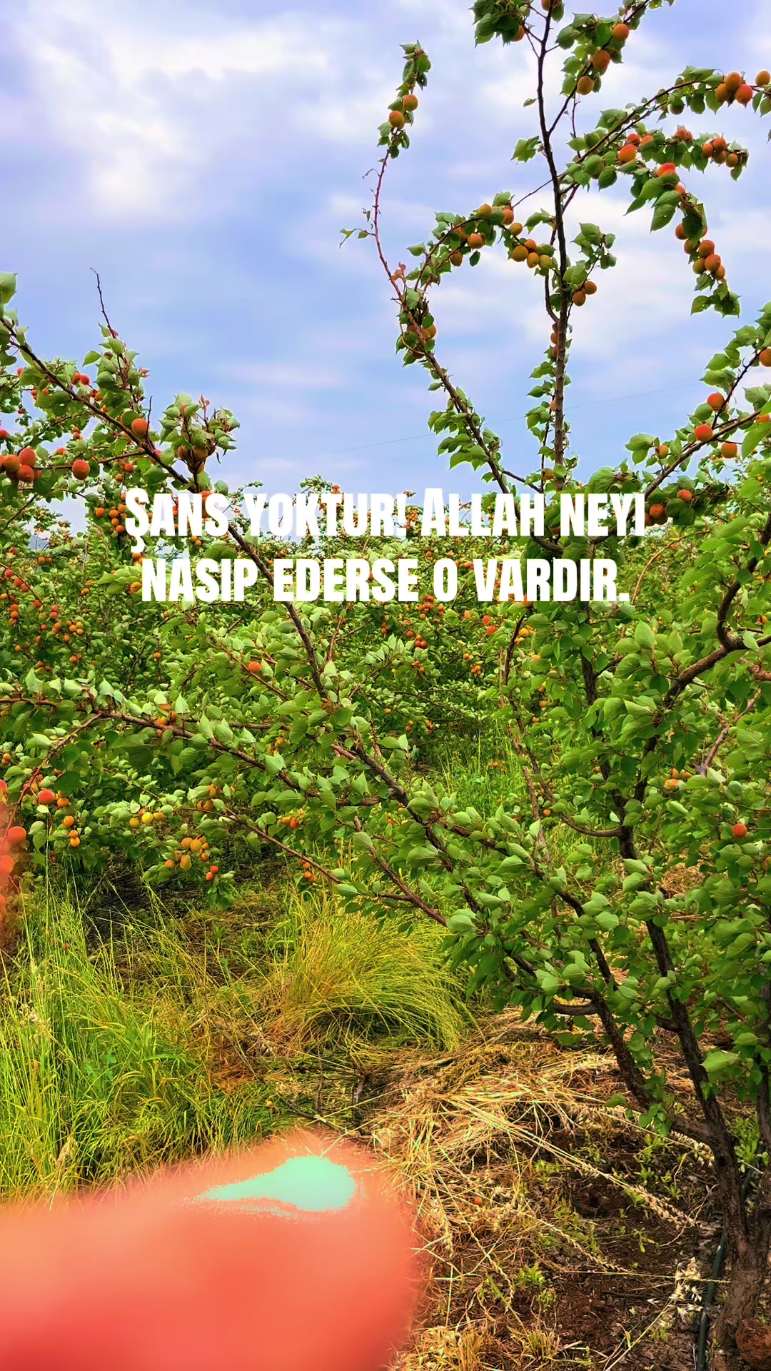 @YUSUF CİKE ÇAVUŞ