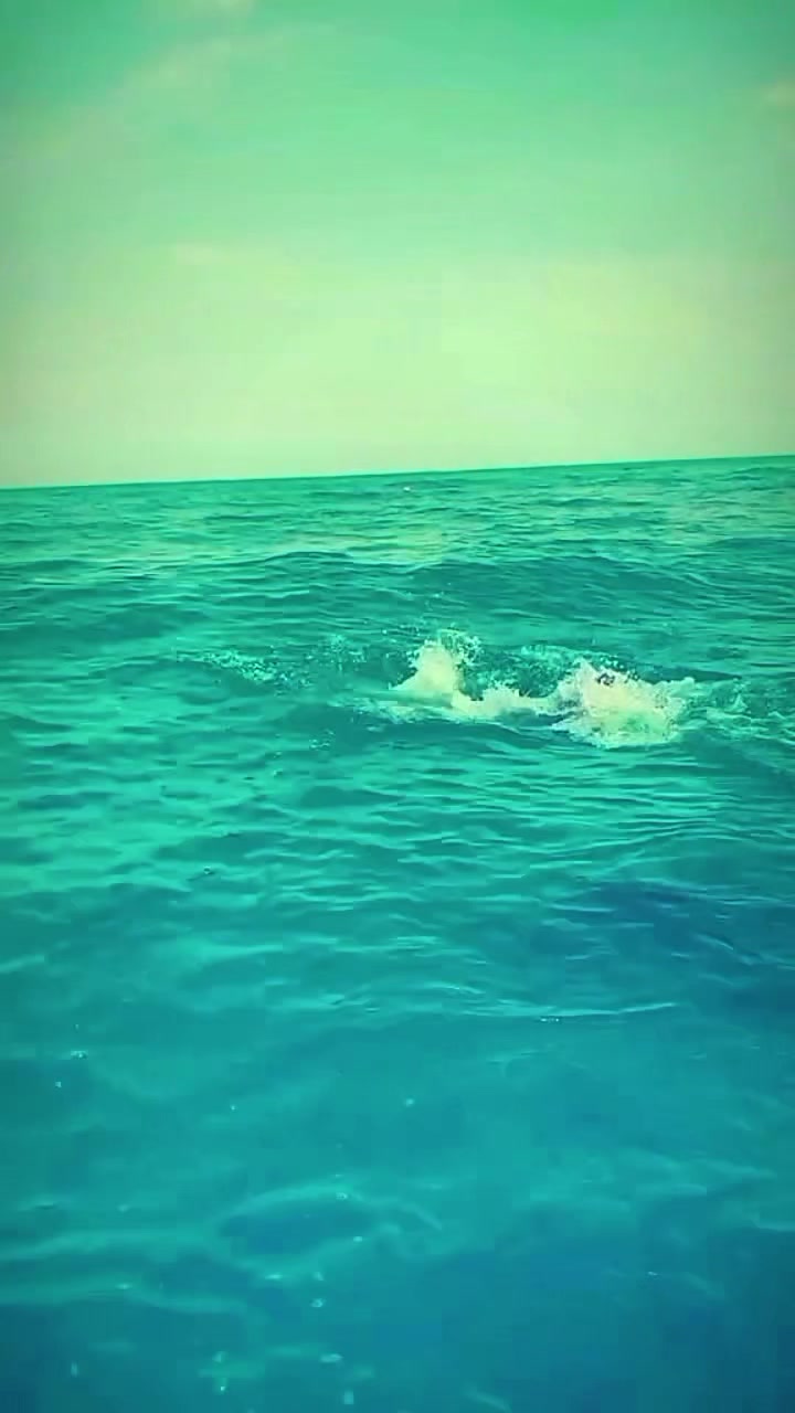@✴️11_Beylaqaniski_11✴️