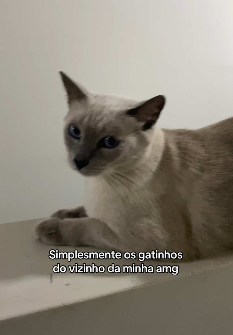 @Patricinha Gótica 🖤✨