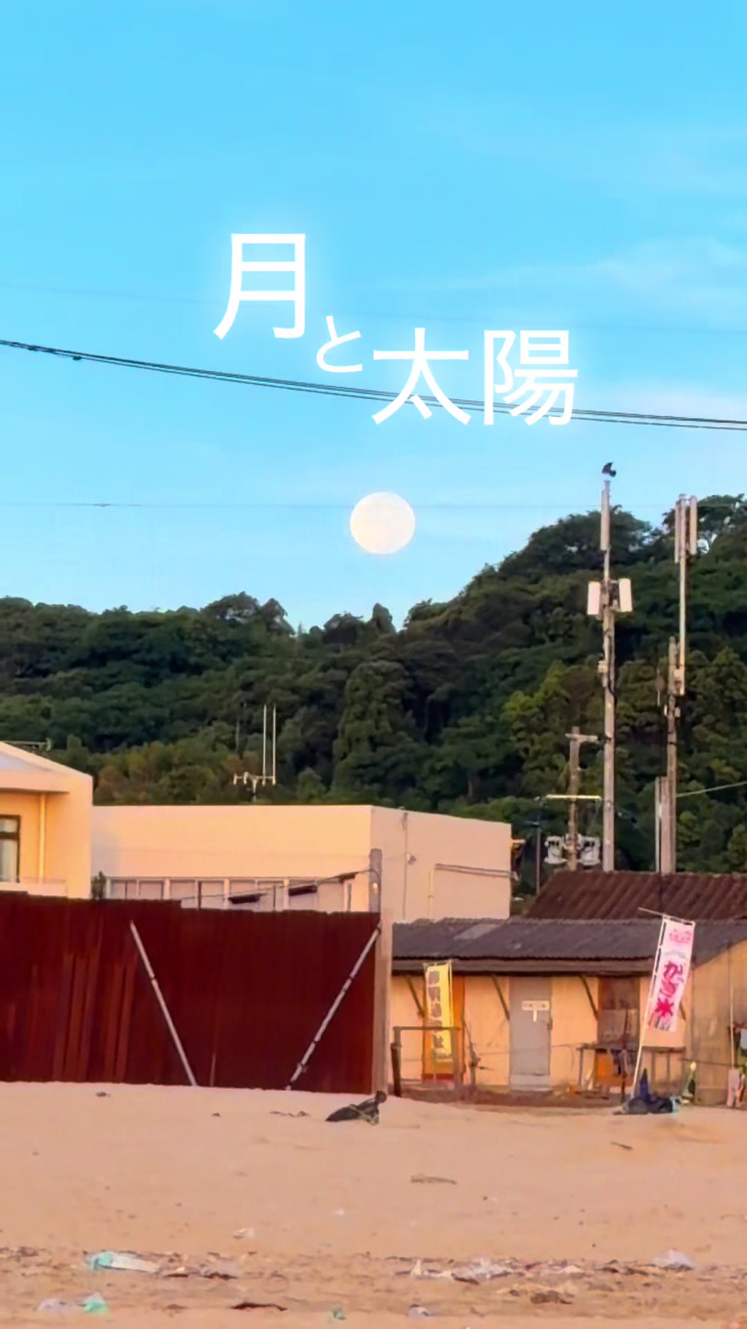 @志賀島