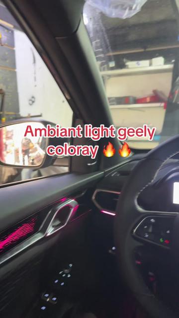 @Carmaxdz 🇩🇿