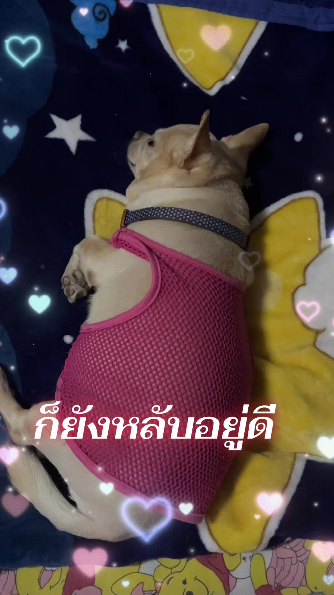 @Nicky&Taro
