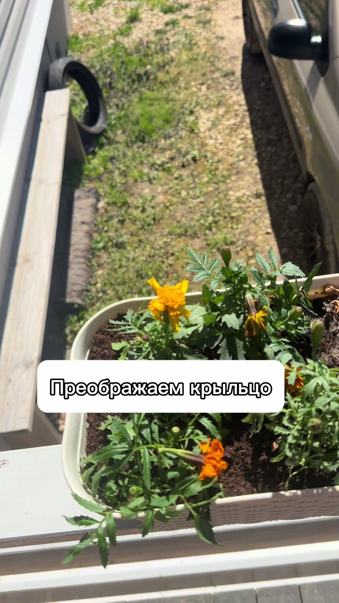 @Nadezhda.alisia