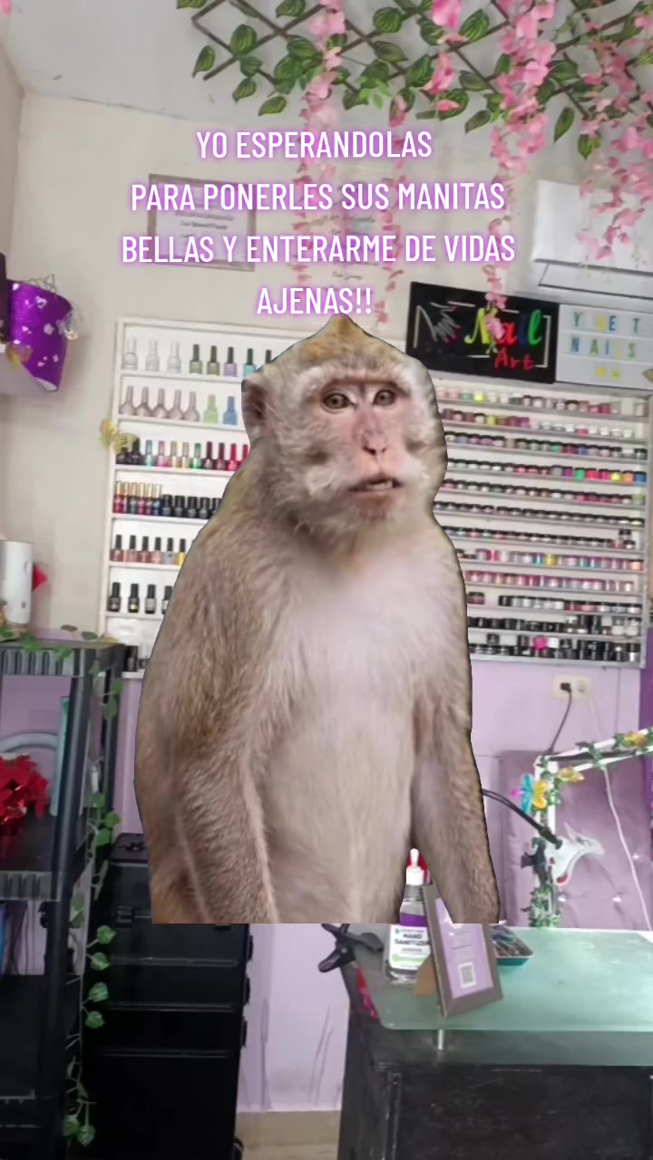 @Iris Yanett