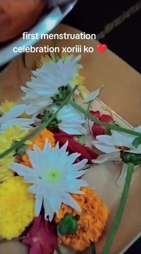 @kamala 123