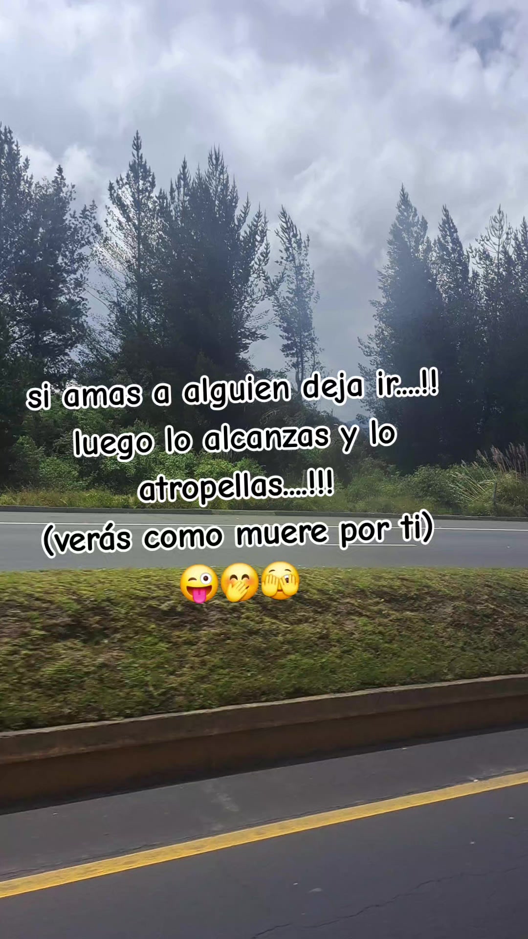 @Elyp1981
