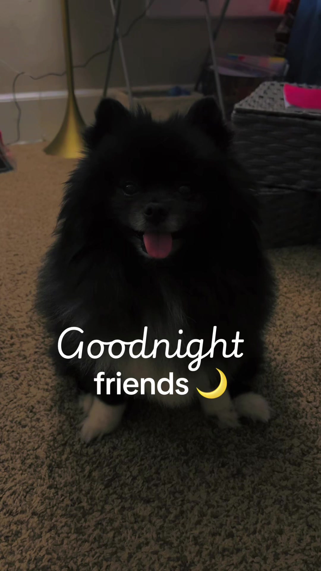 @BiggiePomPom