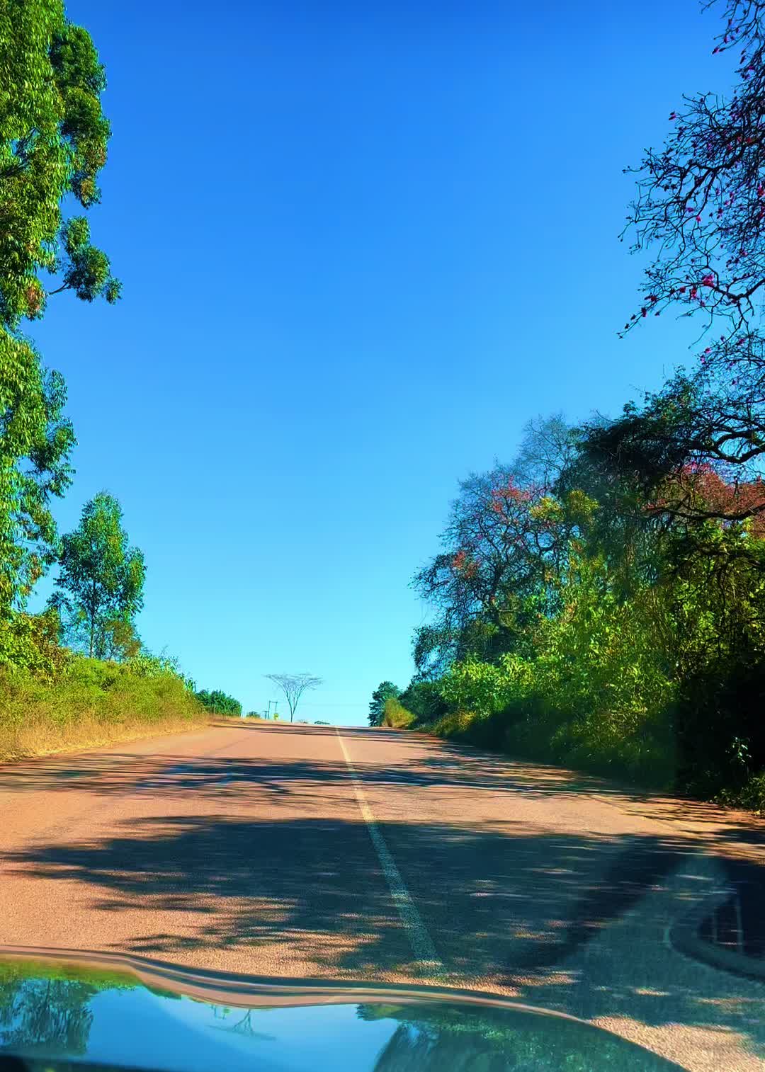 @Ndzumbu🇿🇦