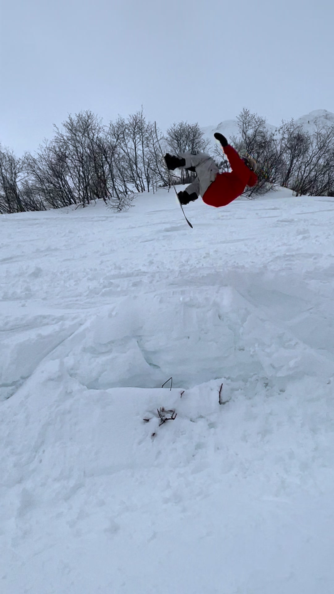 @ridesnowboards