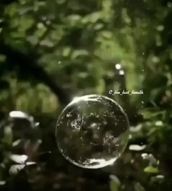 @the__fake__smiler
