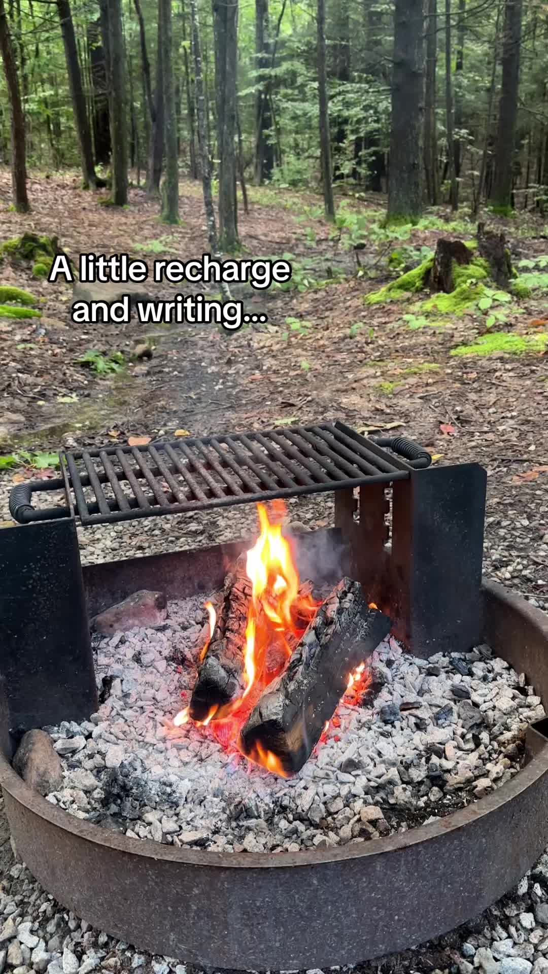 @Ella M Lee | Author