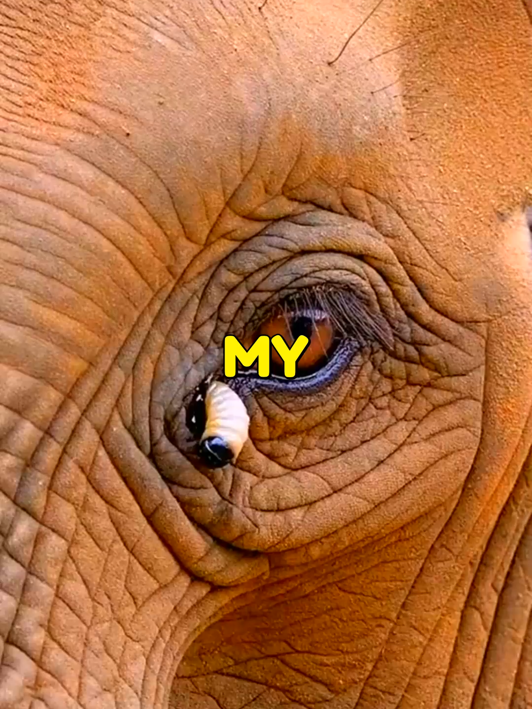 @&deg;