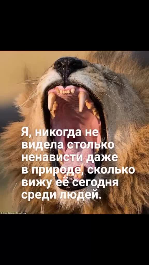 @Забава
