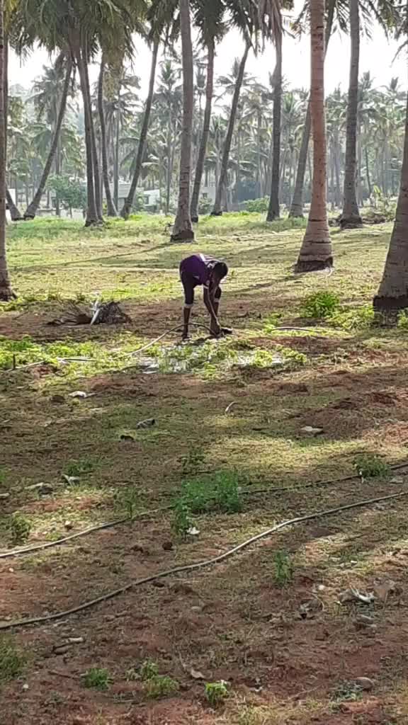 @MANIKANDAN G