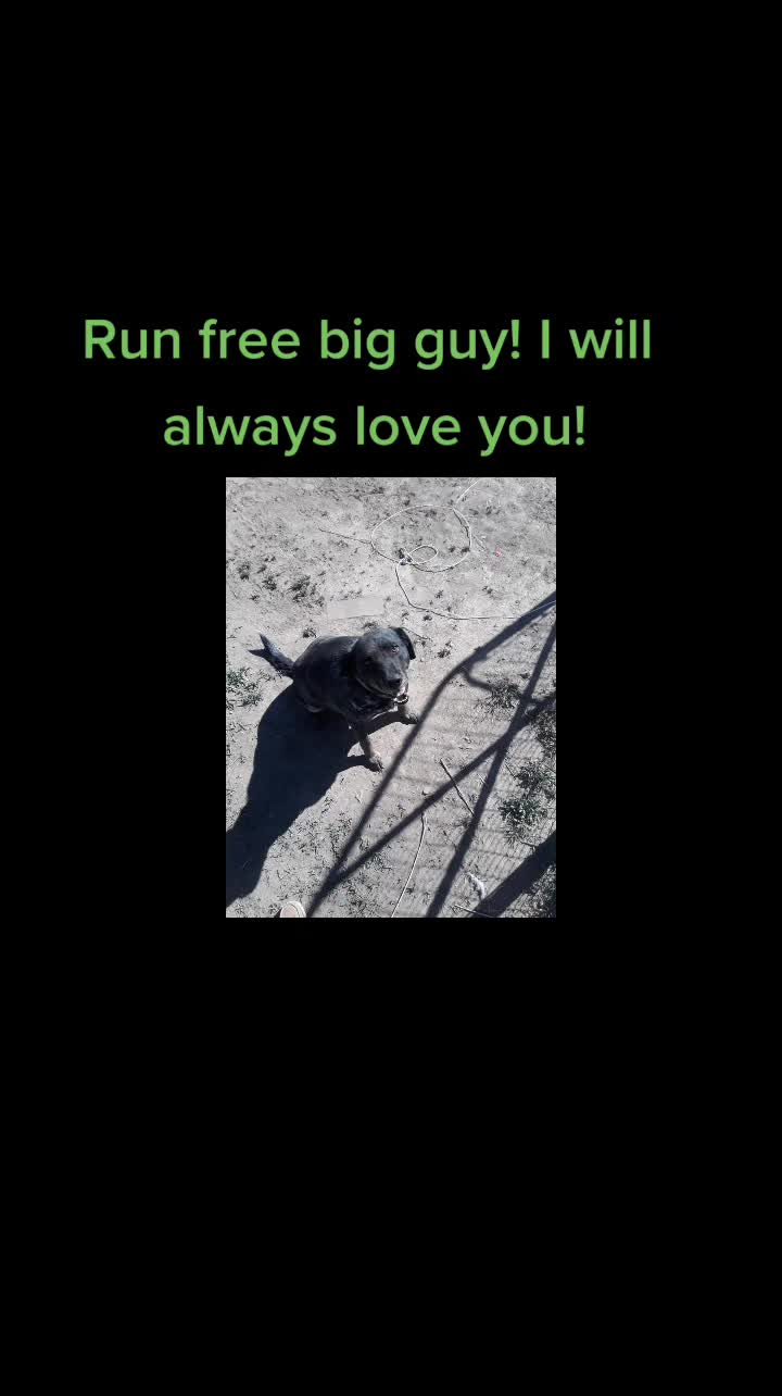 @Hyte307❌