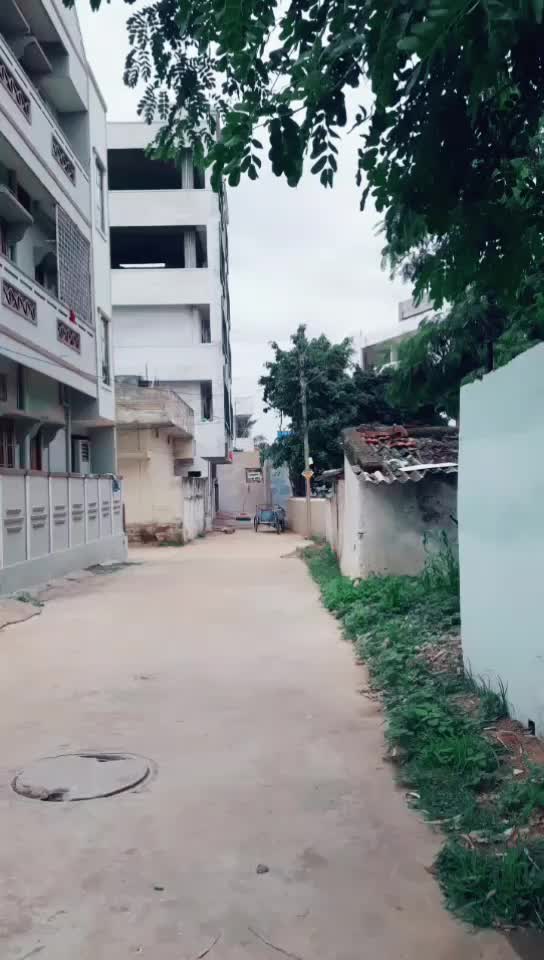@sunny meloju