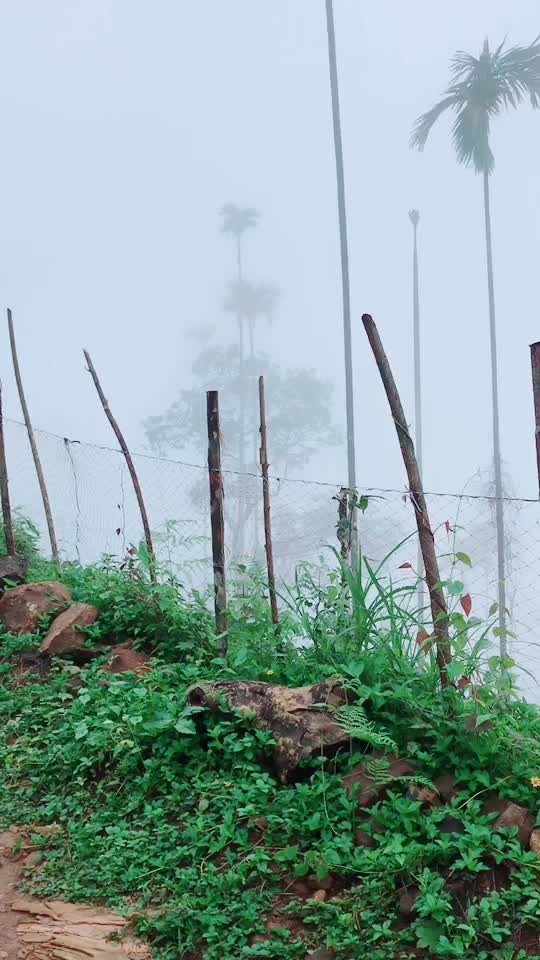 @Kasinath
