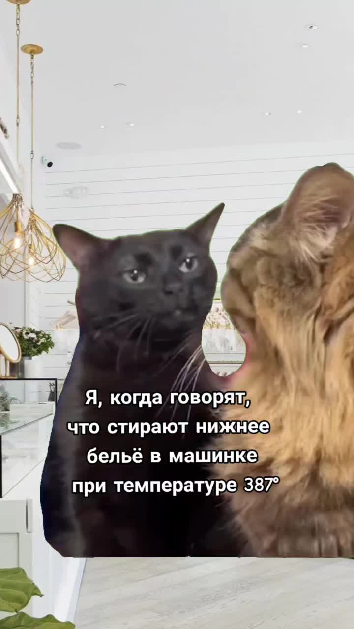 @KinkyCurve