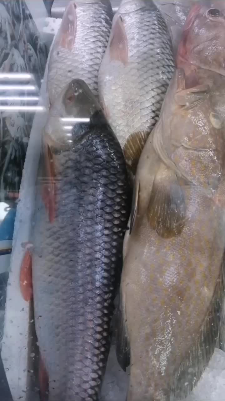 @fish mart@007