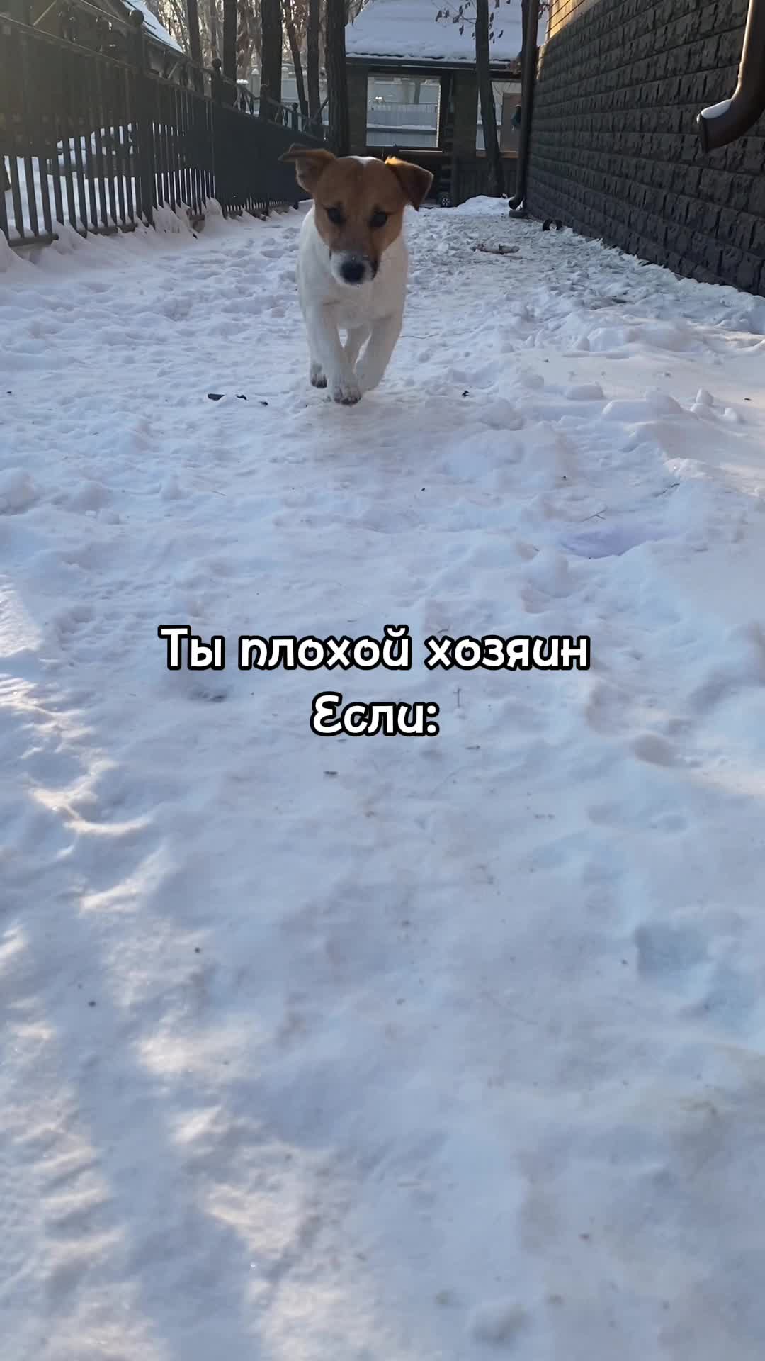 @polinajusfc