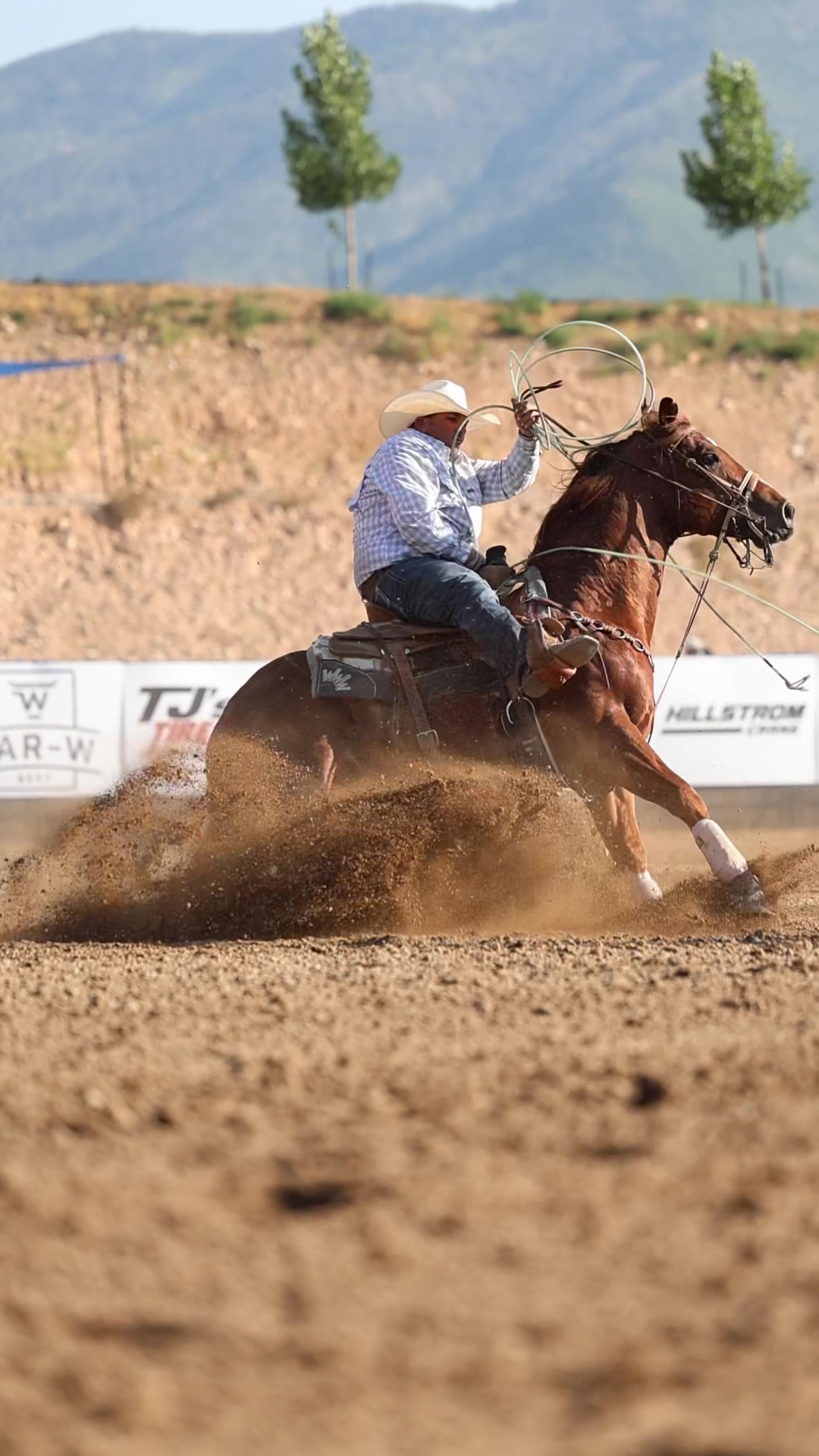 @Cord Forzano Rope Horses