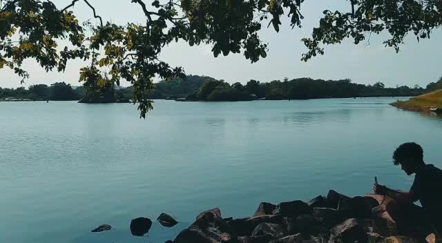 @vms Danish Raj 