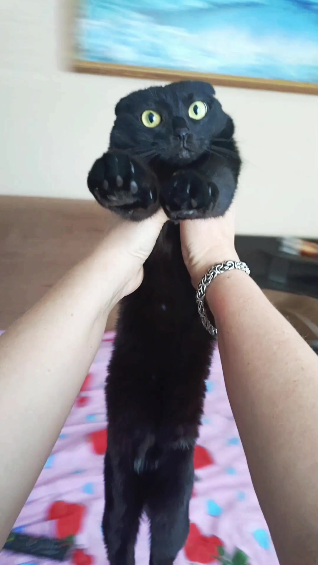 @ИрА😹Эля🐾🐾 ✔