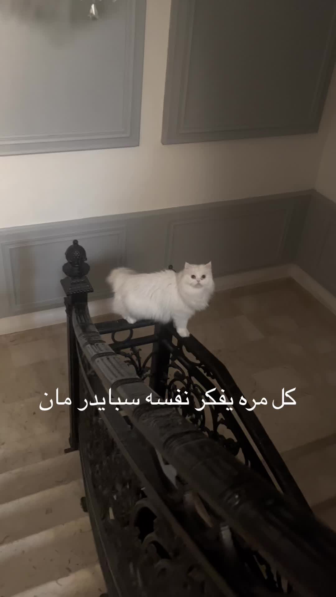@user39556571203