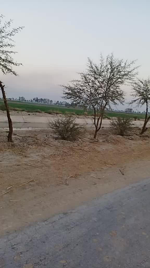 @King ๐๐ช๐ชS๐r๐๐ Sahib