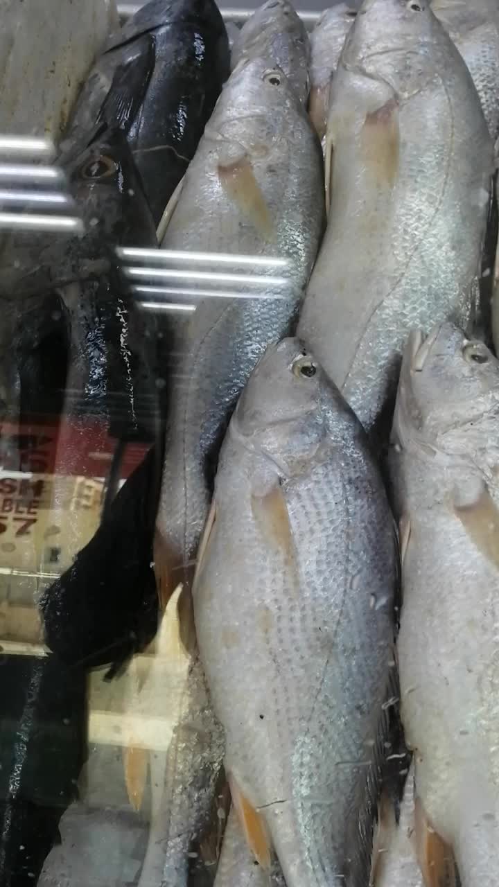 @fish mart@007