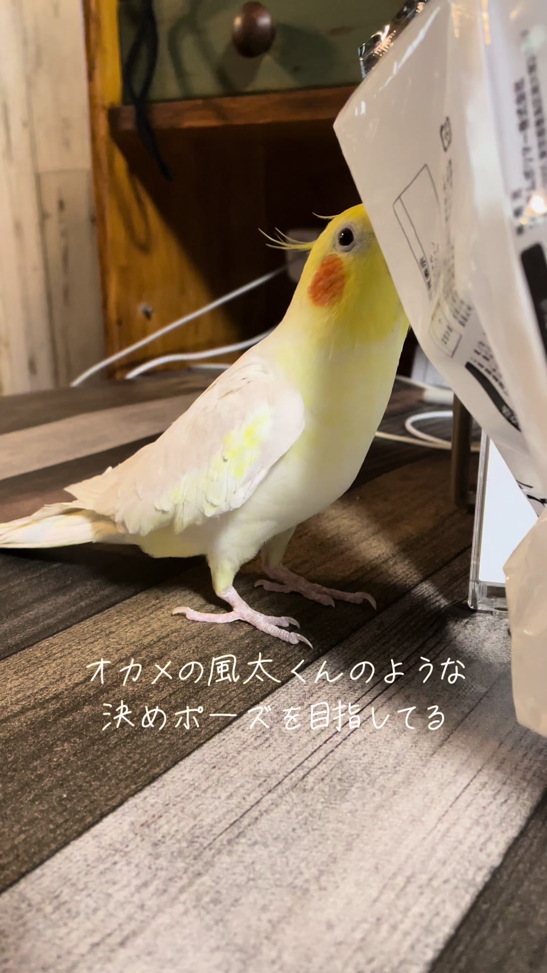 @むぎころ