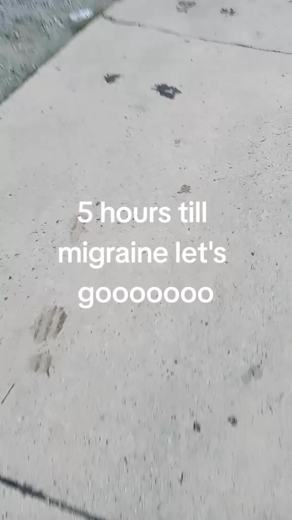 @dino