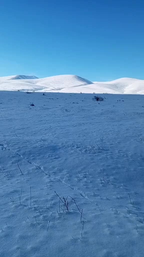 @CEBI SEMKIRISKI 57