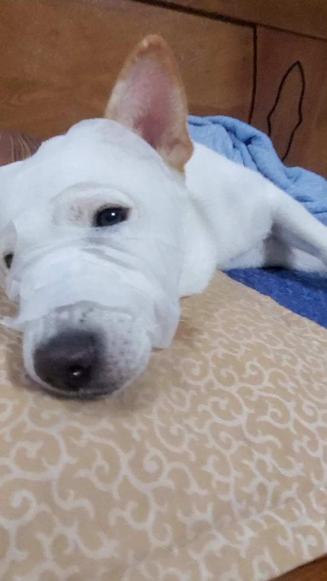 @상큼선이