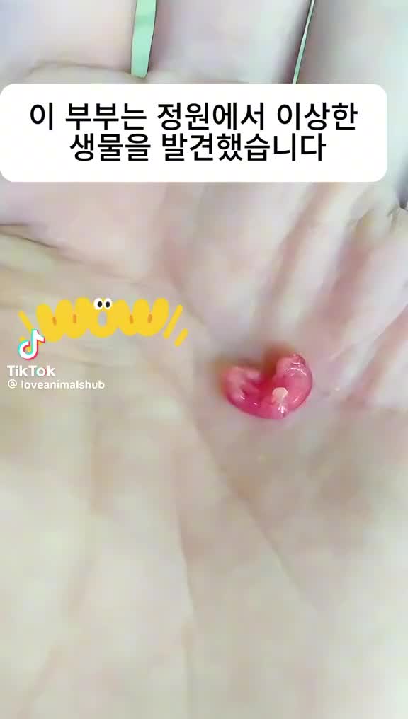 @9988秘密