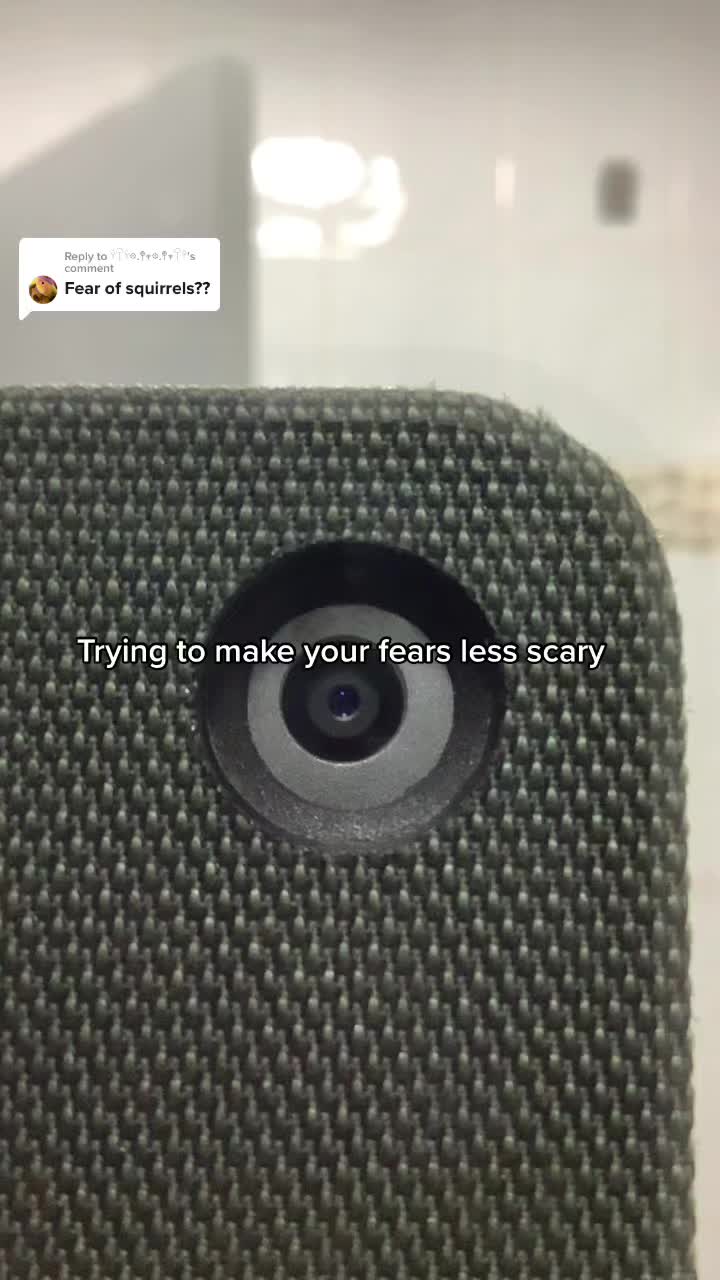 @♛ 𝗣𝗵𝗼𝗯𝗶𝗮𝘀