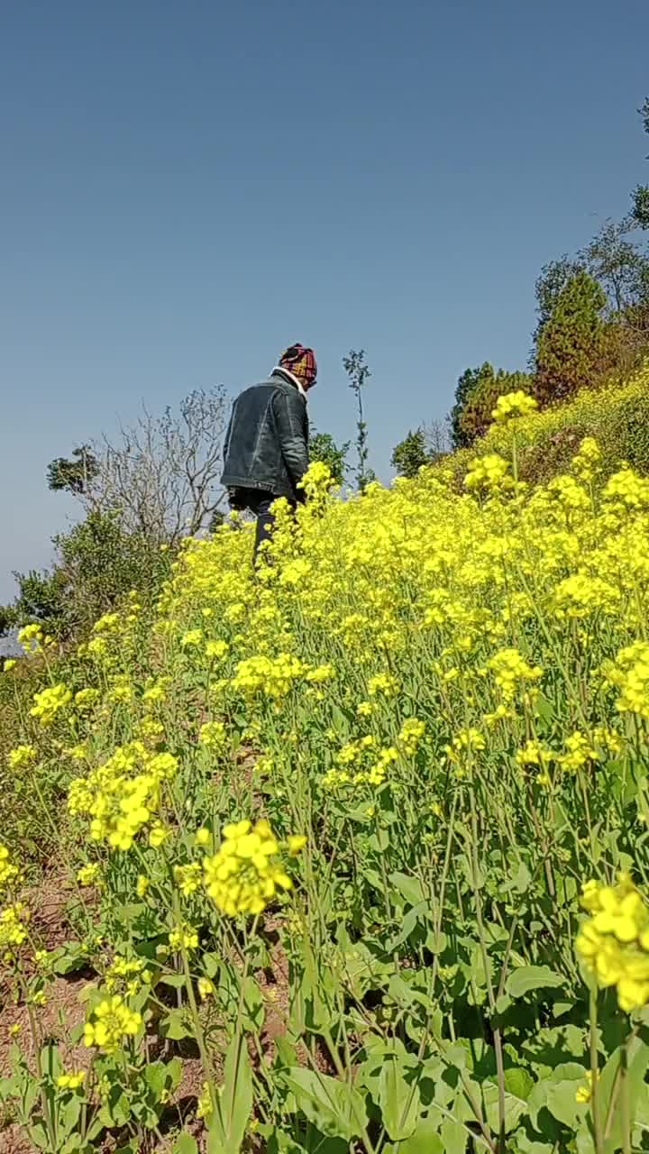 @LB THAPA🕉️